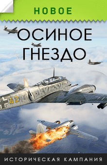 «Осиное гнездо»